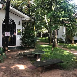 Sylvester Hostel